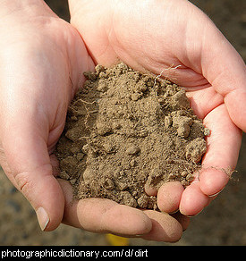 Photo of hands holding dirt.