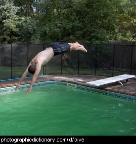 Photo of someone diving into a swimming pool