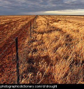 Photo of a drought affected area