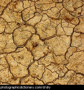 Photo of some dry ground