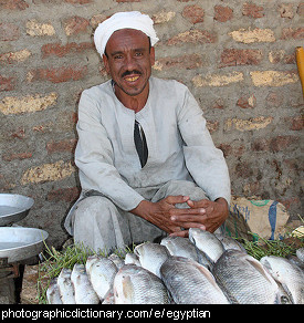 Photo of an Egyptian man