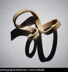 Photo of an elastic band