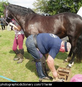 Photo of a farrier