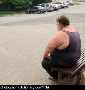 Photo of a fat man sitting on a bench