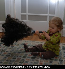 Photo of a feather duster