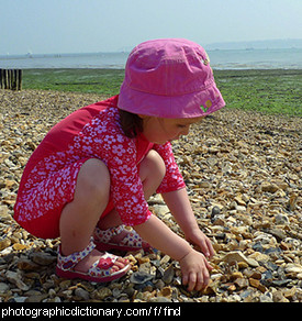 Photo of a little girl looking for shells