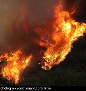 Photo of a forest fire