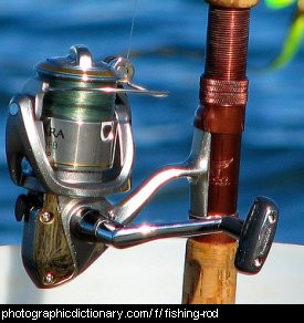 Photo of a fishing rod
