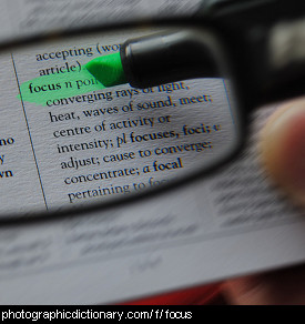 Photo of some words in focus