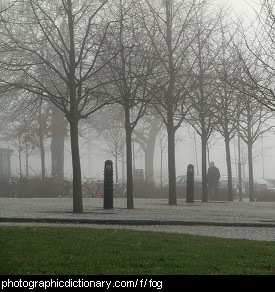 Photo of fog