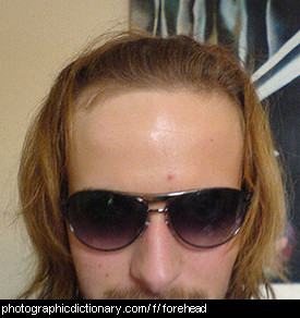 Photo of a man's forehead