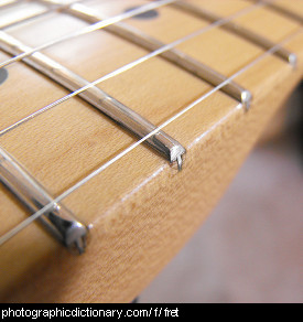 Photo of guitar frets