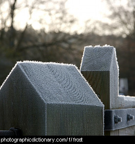 Photo of a frosty fence post