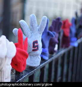 Photo of gloves on a fence.