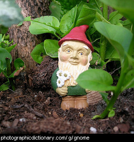 Photo of a garden gnome.