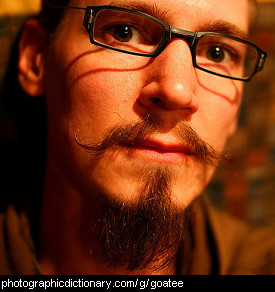 Photo of a man with a goatee