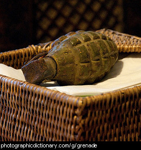 Photo of an old hand grenade.