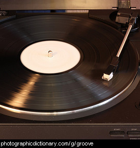 Photo of grooves in a vinyl record