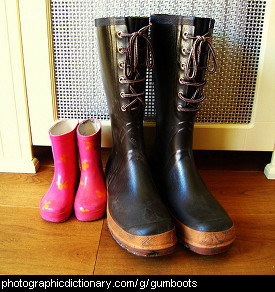 Photo of some gumboots.