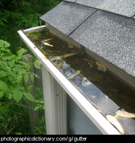 Photo of a roof gutter