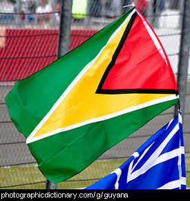 Photo of the Guyana flag