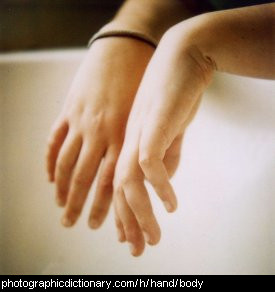 Photo of a pair of hands.