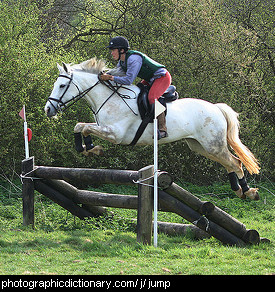 Photo of a horse jumping over a barrier