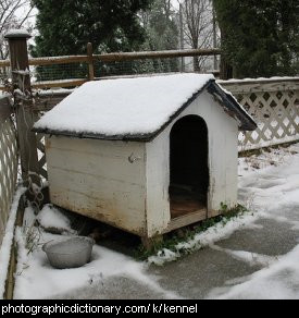 Photo of a dog kennel