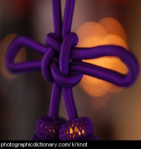 Photo of a purple knot