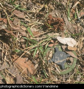 Photo of a landmine
