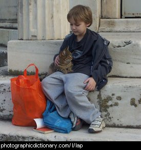Photo of a boy with a cat on his lap