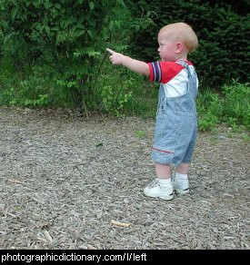 Photo of a child pointing left