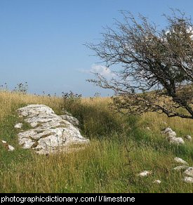 Photo of limestone rocks