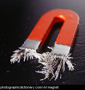 Photo of a horseshoe magnet.