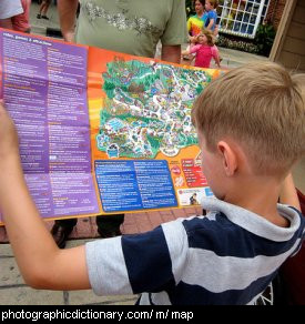 Photo of a boy reading a map