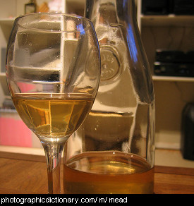 Photo of a bottle of mead