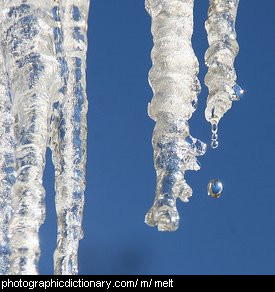 Photo of melting ice
