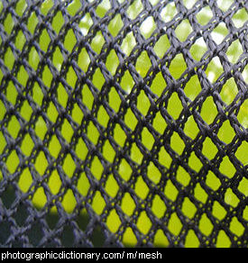 Photo of some mesh