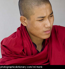 Photo of a Buddhist monk