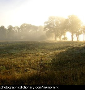 Photo of morning light