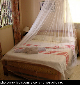 Photo of a mosquito net