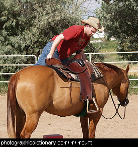 Photo of a man mounting a horse