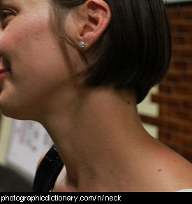 Photo of a lady's neck.