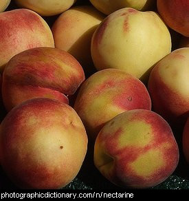 Photo of nectarines