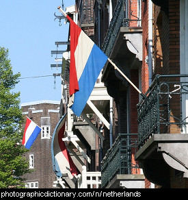 Photo of Netherlands flags