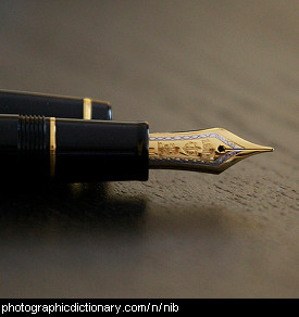 Photo of a pen nib