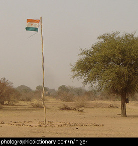Photo of the Niger flag