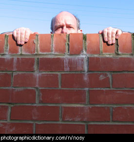 Photo of a man looking over a fence