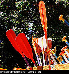 Photo of some oars
