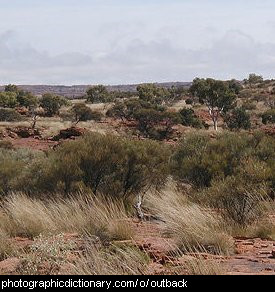 Photo of the Australian outback